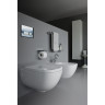Унитаз LAUFEN PALOMBA COLLECTION подвесной с LCC 8.2080.1.400.000.1